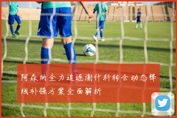 阿森纳全力追逐谢什科转会动态锋线补强方案全面解析